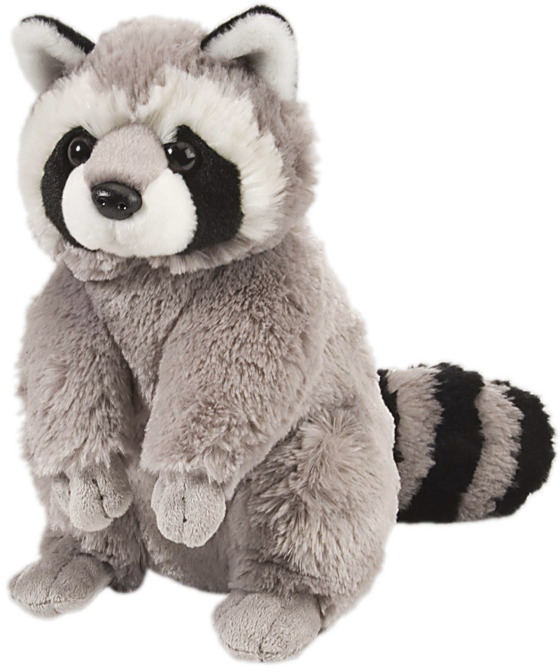 Vaskebjørn, 30cm - Wild Republic